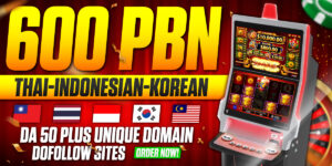 600 Dofollow Permanent High Quality PBN Backlinks DA 50 Plus