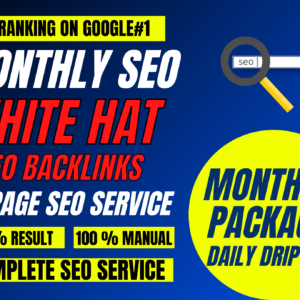 Monthly SEO Package