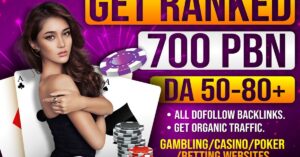 700 High-Quality PBN Backlinks DA 50-80+ for Improved SEO Rankings