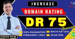 Increase Domain Rating 75+ with High-Quality Backlinks