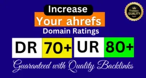 Increase Your Domain Rating (DR) up to 70+ with 100% White Hat SEO