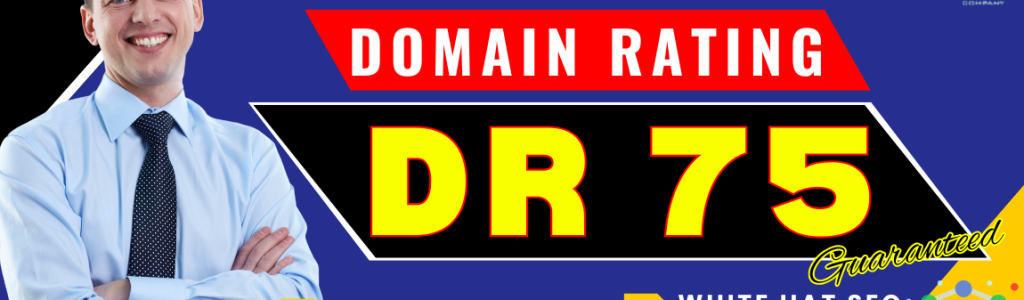 Increase Domain rating 75 Alan SEO Company